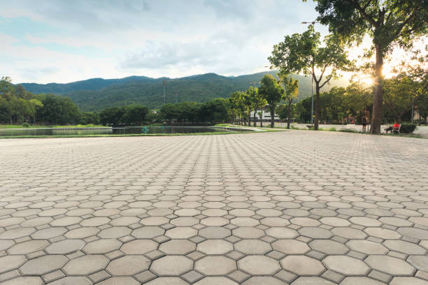Professional Driveway Pavers in Gravette, AR